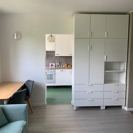 Spiew Mew / Seagulls Sing Apartment