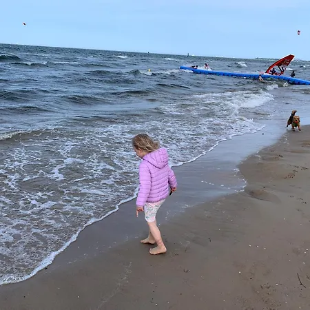 Spiew Mew / Seagulls Sing * Gdańsk