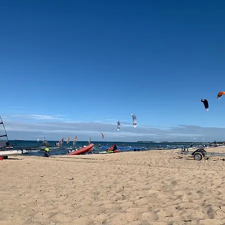 Spiew Mew / Seagulls Sing * Gdańsk