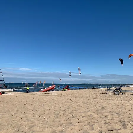 Spiew Mew / Seagulls Sing * Gdańsk